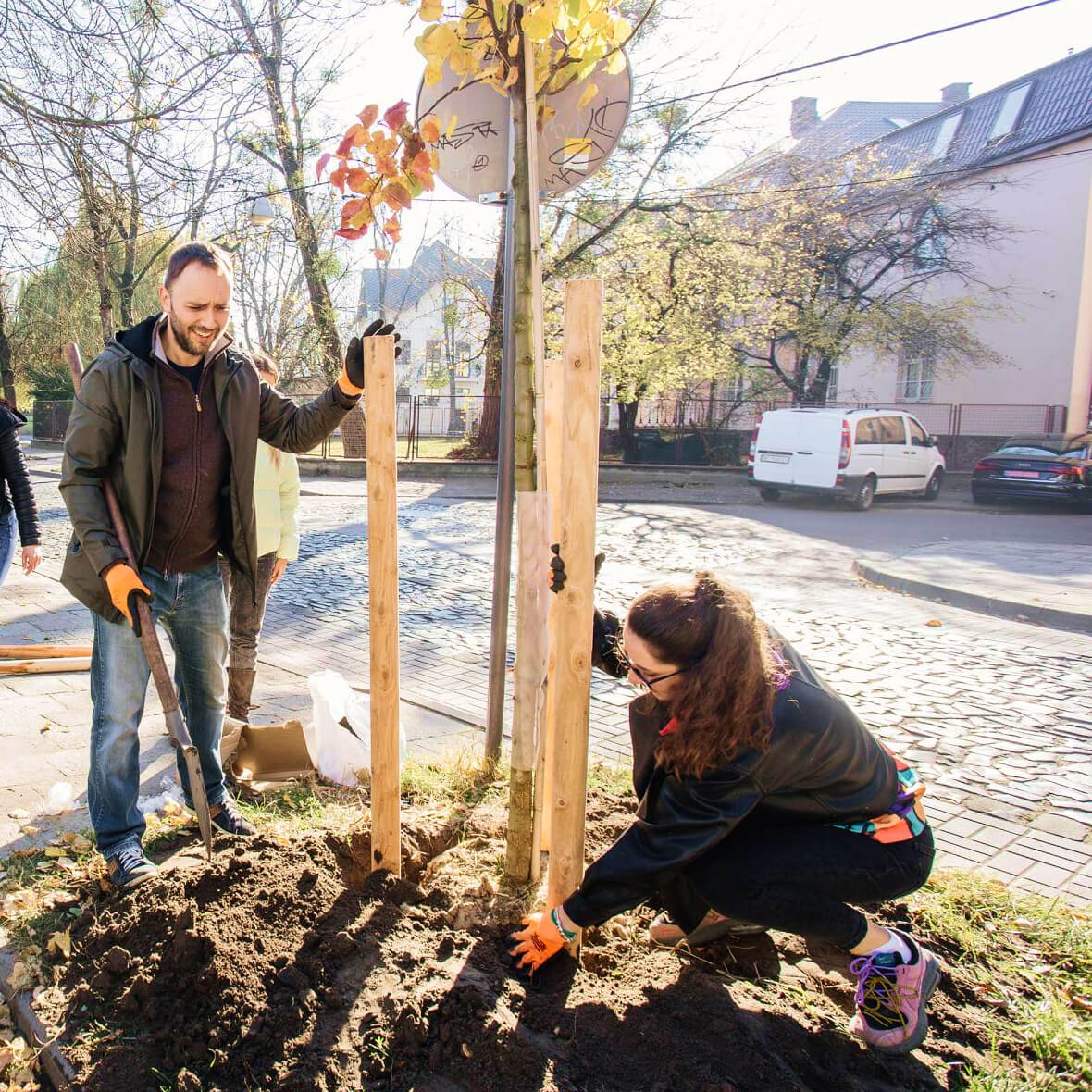 Tree planting in Kyiv, Lviv, Ivano-Frankivsk and Ternopil